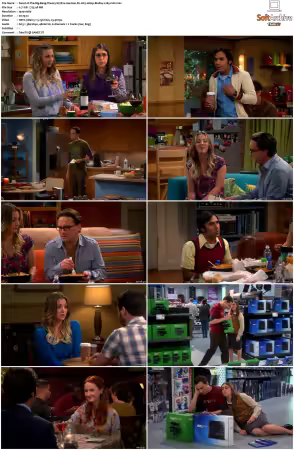 The Big Bang Theory S01-S12 German DL AC3 1080p BluRay x265-FuN