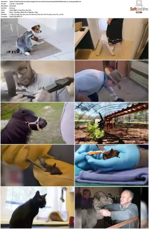 Unlikely Animal Friends S01 S03 1080p DSNP WEB-DL DD+5.1 H264-playWEB