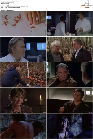 Waking The Dead S01-S09 DVDRip XviD-Mixed