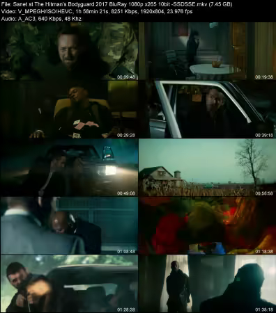 The Hitmans Bodyguard 2017 BluRay 1080p x265 10bit -SSDSSE