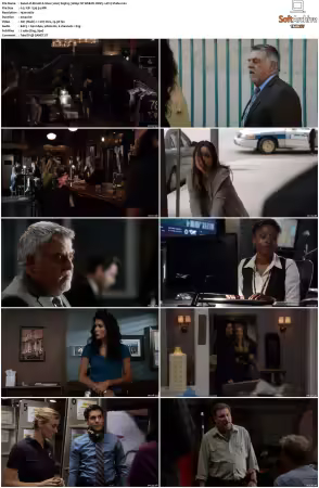 Rizzoli and Isles 2010 S01-S07 1080p NF WEB-DL DDP5.1 AV1-Vialle