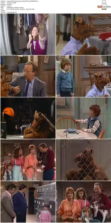 Alf S01 German DL 1080p MiXED x264-TVNATiON