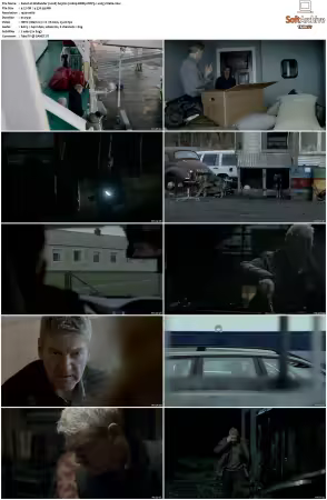 Wallander 2008 S01 S04 1080p BDRip DDP5.1 x265-Vialle
