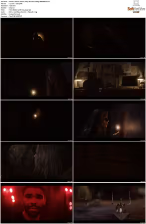 The OA S01 S02 1080p WEB H264 DDP5.1-DERMAGiC
