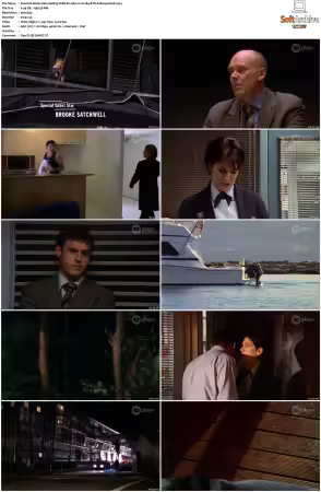 Water Rats S01-S06 WEB-DL AAC2.0 H264-BTN