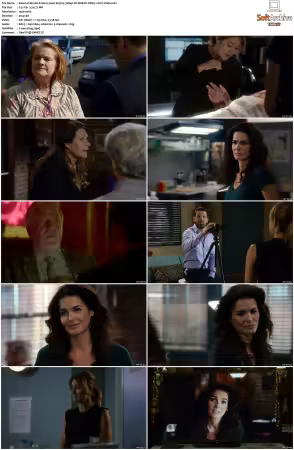 Rizzoli and Isles 2010 S01-S07 1080p NF WEB-DL DDP5.1 AV1-Vialle