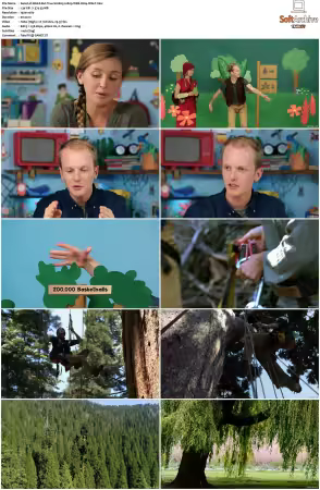 Weird But True S01 S03 1080p WEB H264-S