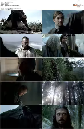 Black Sails 2014 S01-S04 1080p BDRip DDP7.1 x265-Vialle