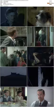The Famous Five 1995 S01 S02 576p DVDRip DD2.0 x264-DS