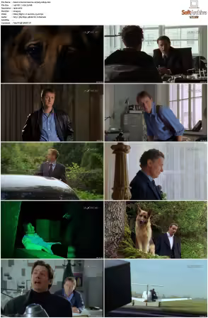 Kommissar Rex S01-S10 German 1080p HDTV x264-OMGtv