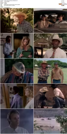 Walker Texas Ranger S01 S09 DVDRip XviD-Mixed