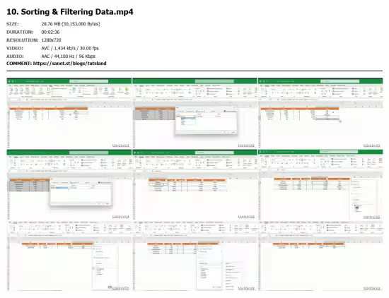 Microsoft Excel: Excel Projects