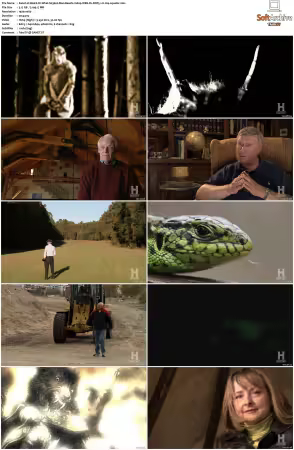 Weird Or What S01 S03 1080p WEB-DL DDP5.1 H264-squalor