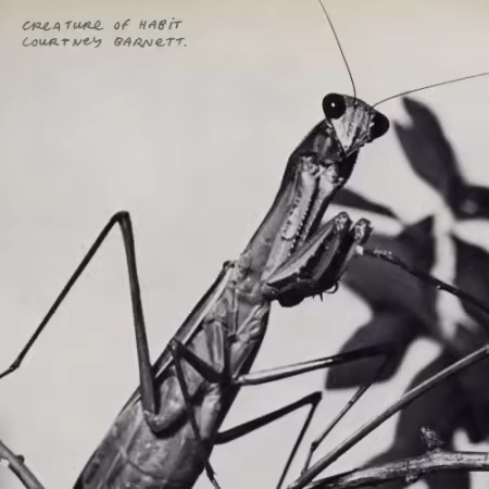 Courtney Barnett - Creature of Habit (2026)