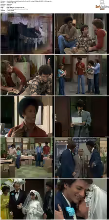 Welcome Back Kotter S01-S04 1080p WEBRip 10Bit DDP2.0 HEVC-d3g