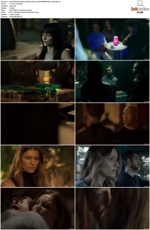 Banshee S01 S04 1080p WEBRip DDP5.1 H265-d3g