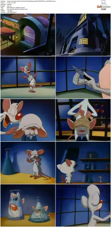 Animaniacs 1993 S01 S05 1080p UPSCALED DD 5.1 x265-EDGE2020