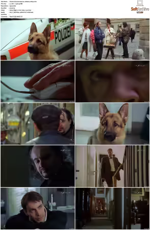 Kommissar Rex S01-S10 German 1080p HDTV x264-OMGtv