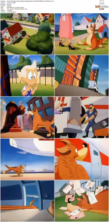 Animaniacs 1993 S01-S05 1080p UPSCALED DD 5.1 x265-EDGE2020