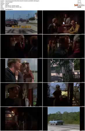 Simon and Simon S01 S08 1080p Blu-ray 10Bit DDP2.0 HEVC-d3g