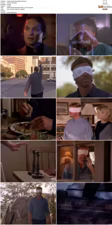 Walker Texas Ranger S01-S09 DVDRip XviD-Mixed