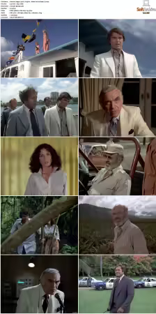 Vegas 1978 S01 S03 480p DVDRip HEVC AAC 2 0 DreadParrot