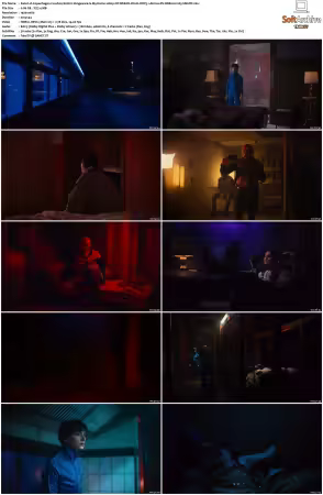 Copenhagen Cowboy S01 1080p NF WEB-DL DUAL DDPA5 1 HDR10 DV HEVC-SMURF