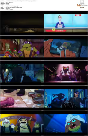 Tales of the Teenage Mutant Ninja Turtles S02 720p x264-AMBER