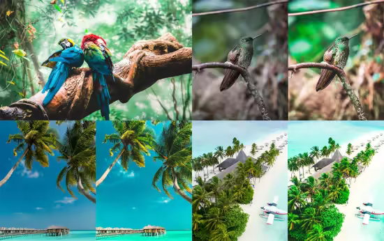 Exotic Trip - Mobile &amp; Desktop Lightroom Presets