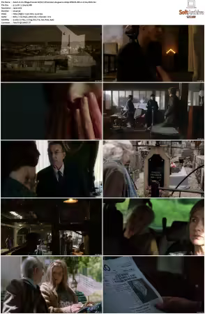 Un Village Francais S01-S07 1080p WEB-DL DD2.0 H264-SbR