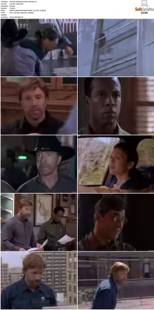 Walker Texas Ranger S01-S09 DVDRip XviD-Mixed