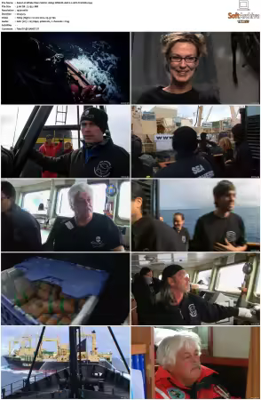 Whale Wars S01 1080p WEB-DL AAC2.0 AVC-TrollHD