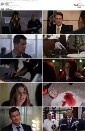 Unforgettable S01-S04 1080p AMZN WEBRip DDP 5.1 x265-edge2020