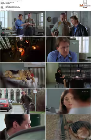 Kommissar Rex S01-S10 German 1080p HDTV x264-OMGtv
