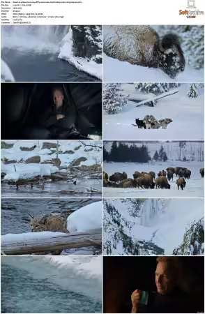 Yellowstone One-Fifty S01 DOC MULTI 1080p WEB x264-Penrose