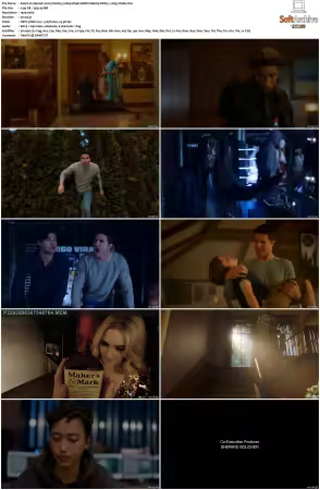 Upload 2020 S01 S04 1080p DS4K AMZN Webrip DDP5.1 x265-Vialle