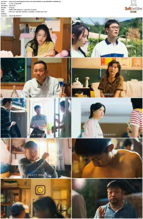 Our Dazzling Days S01 2026 2160p WEB-DL H 265 HDR DDP5.1-HHWEB