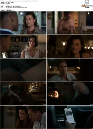 NCIS Tony and Ziva S01 1080p 10bit WEBRip 6CH x265 HEVC-PSA