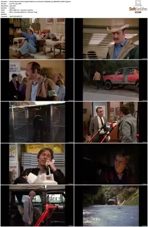 Simon and Simon S01-S08 1080p Blu-ray 10Bit DDP2.0 HEVC-d3g