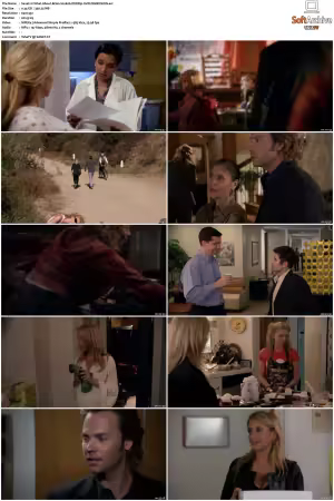 What About Brian S01 S02 DVDRip XviD-DIMENSION