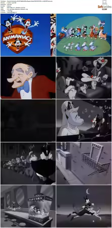Animaniacs 1993 S01-S05 1080p UPSCALED DD 5.1 x265-EDGE2020