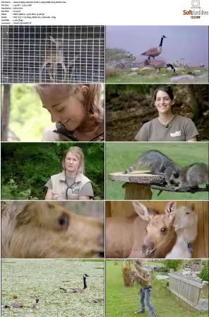 Baby Animals S01-S02 2160p WEB H265-BUSSY