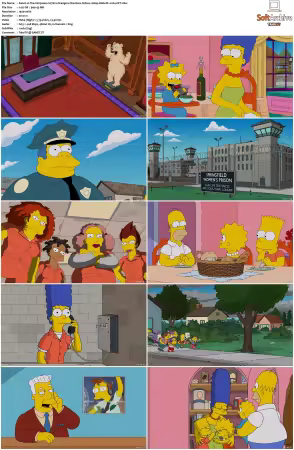 The Simpsons S27 1080p Web-DL x264-OFT