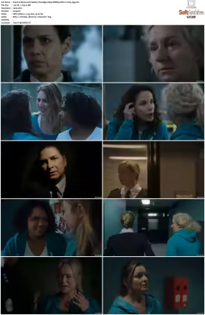 Wentworth S01-S09 1080p WEB h265-d3g