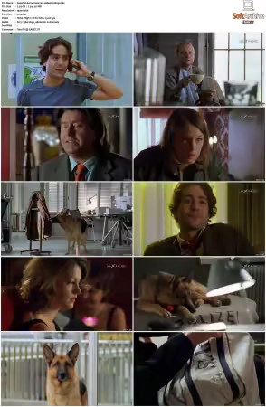 Kommissar Rex S01-S10 German 1080p HDTV x264-OMGtv
