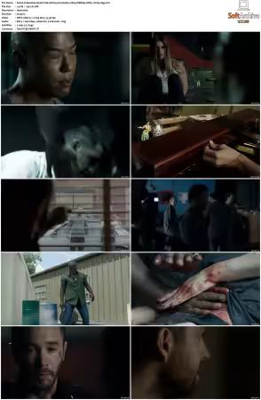 Banshee S01 S04 1080p WEBRip DDP5.1 H265-d3g
