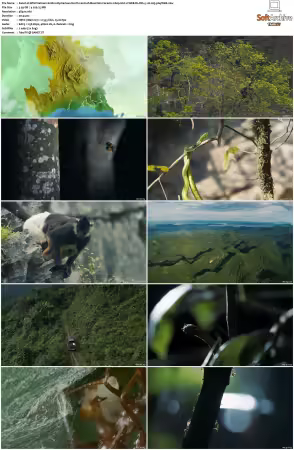 Wild Vietnam S01 2160p HULU WEB-DL DD+5.1 H265-playWEB