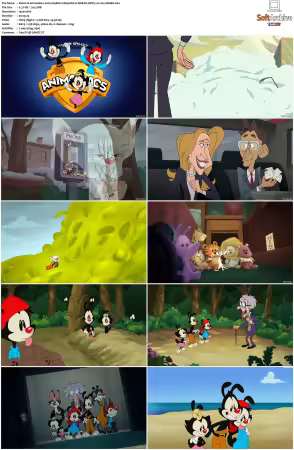 Animaniacs 2020 S01 S03 1080p HULU WEB-DL DDP5 1 H264-SNAKE