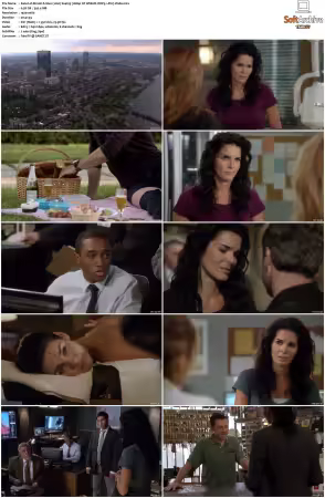 Rizzoli and Isles 2010 S01-S07 1080p NF WEB-DL DDP5.1 AV1-Vialle