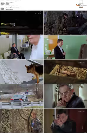 Kommissar Rex S01-S10 German 1080p HDTV x264-OMGtv